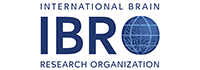 IBRO