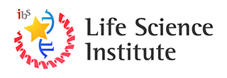LSI